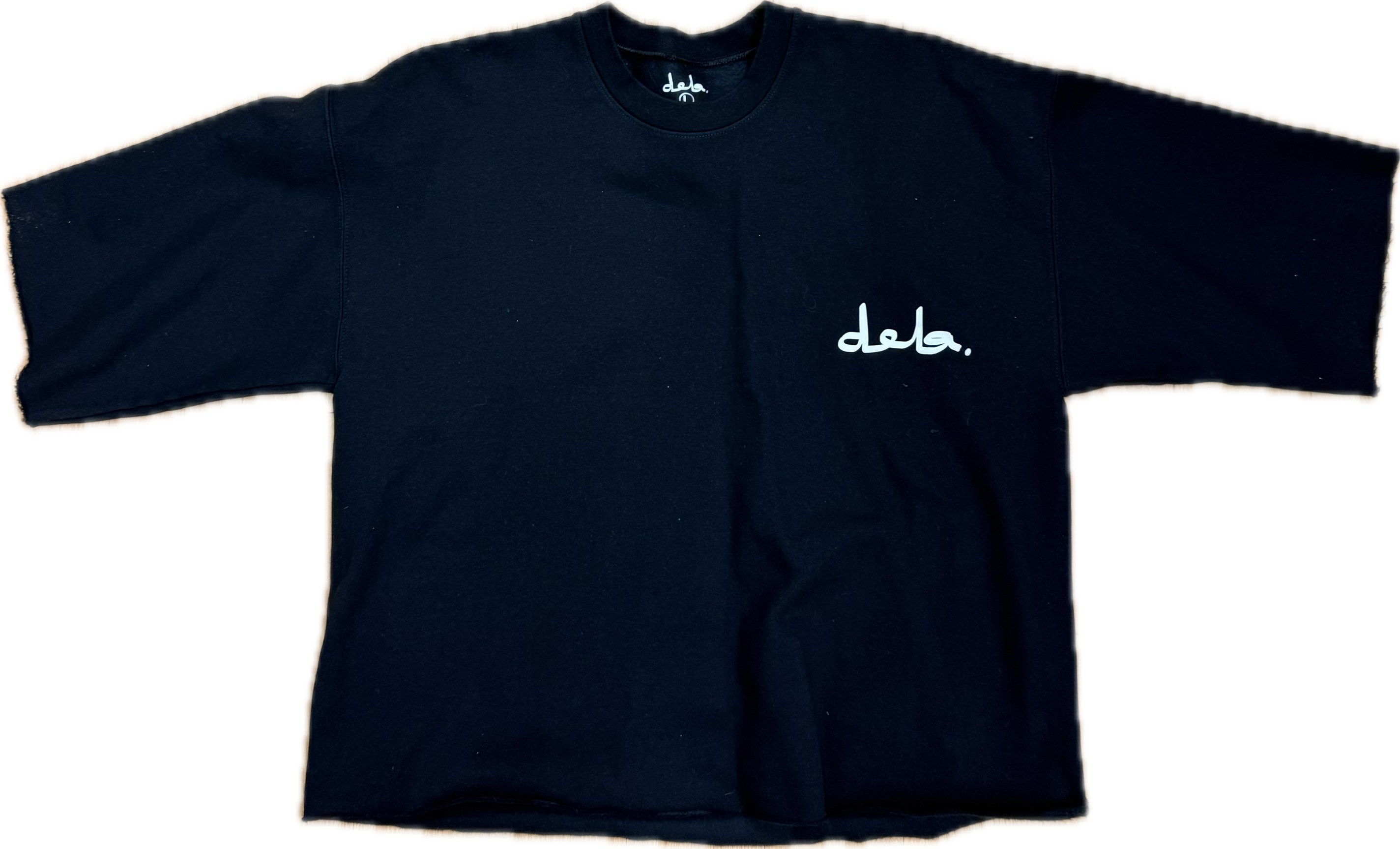 Dela Boxy Crop Tee