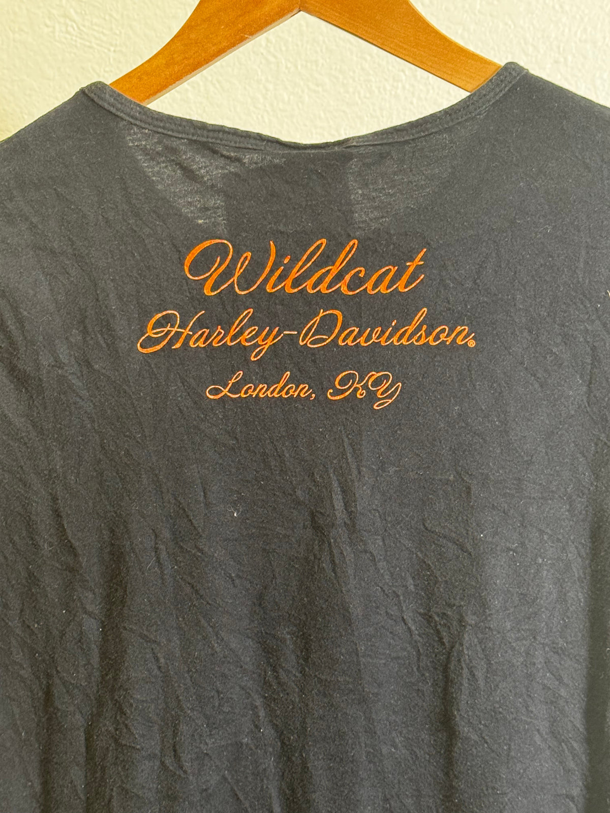 Y2K Harley Davidson Baby Tee