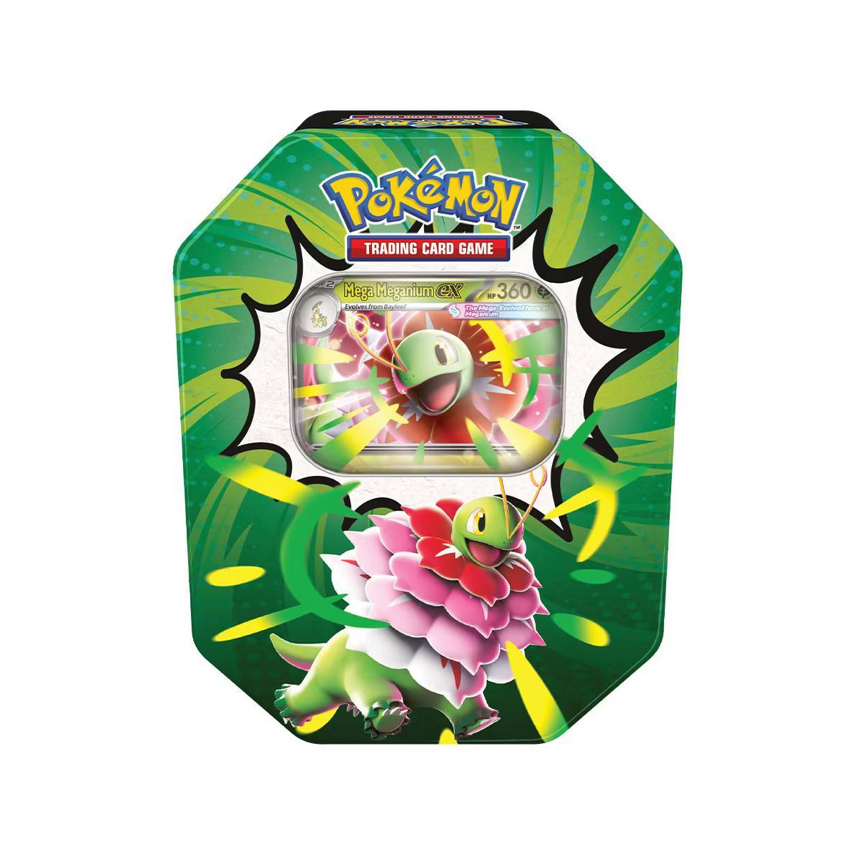 Pokémon TCG: Mega Evolution—Ascended Heroes Tin- Mega Meganium ex