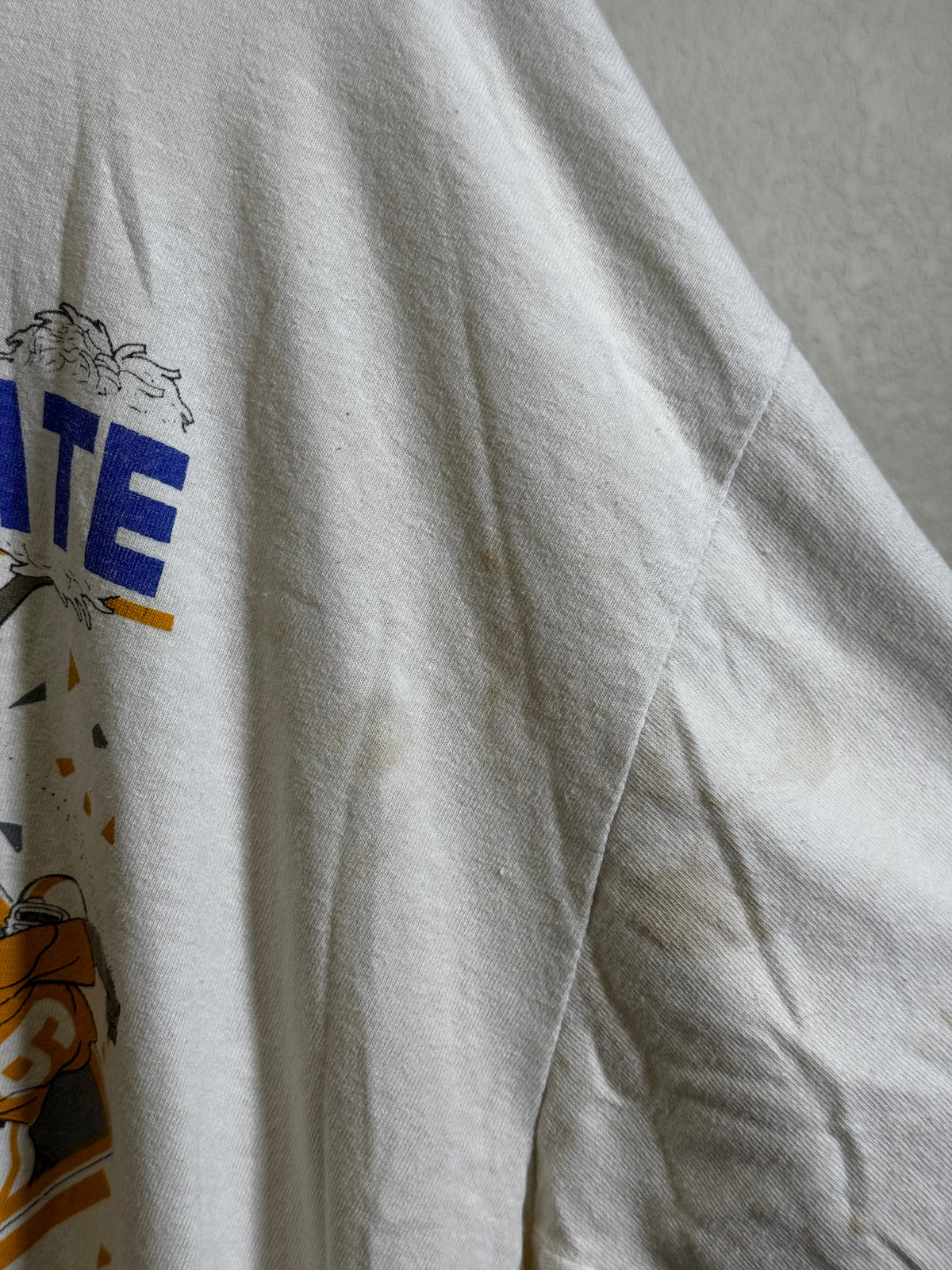 Vintage Fort Valley State Tee