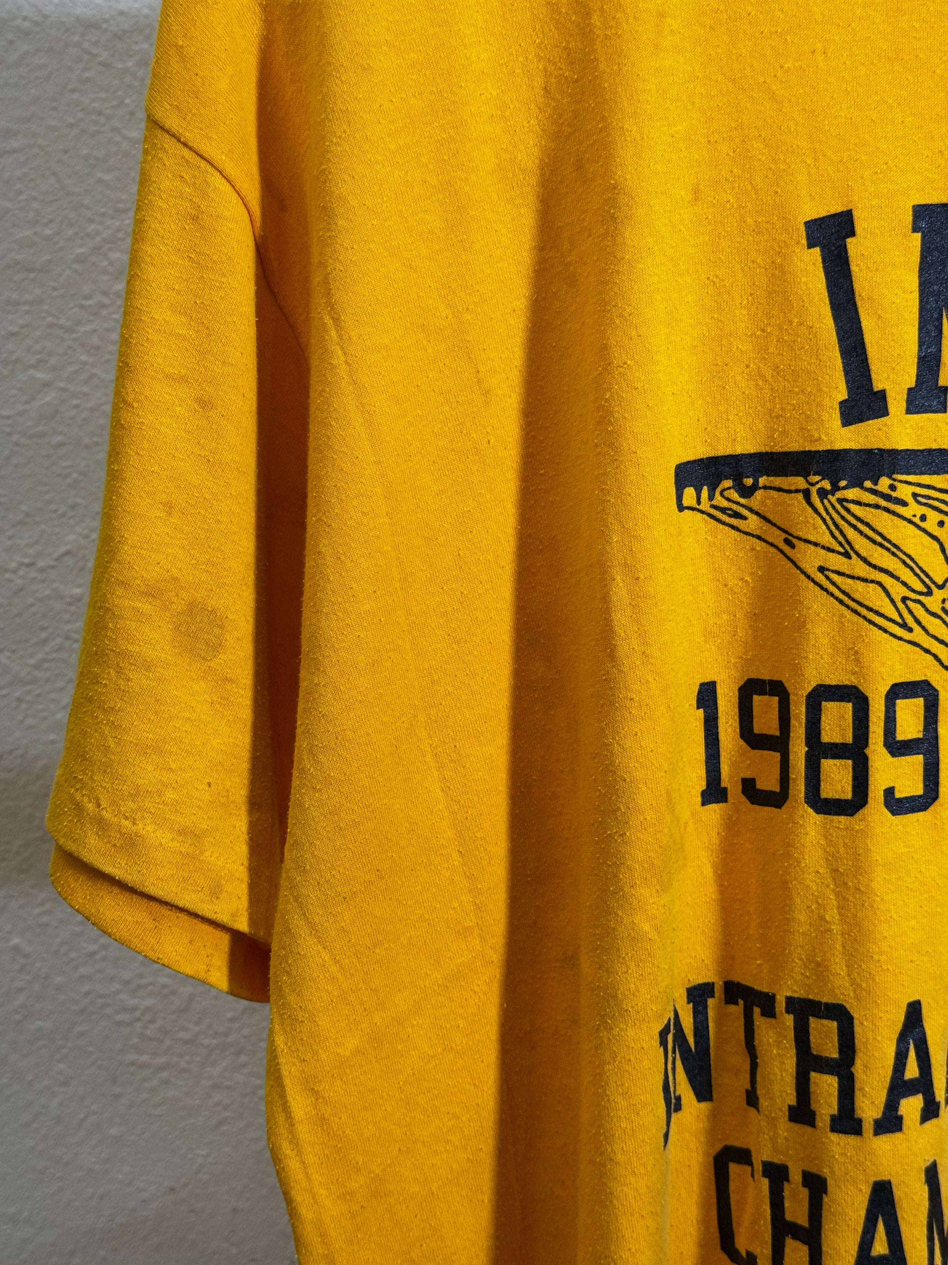 Vintage 1989 IMS Championship Tee