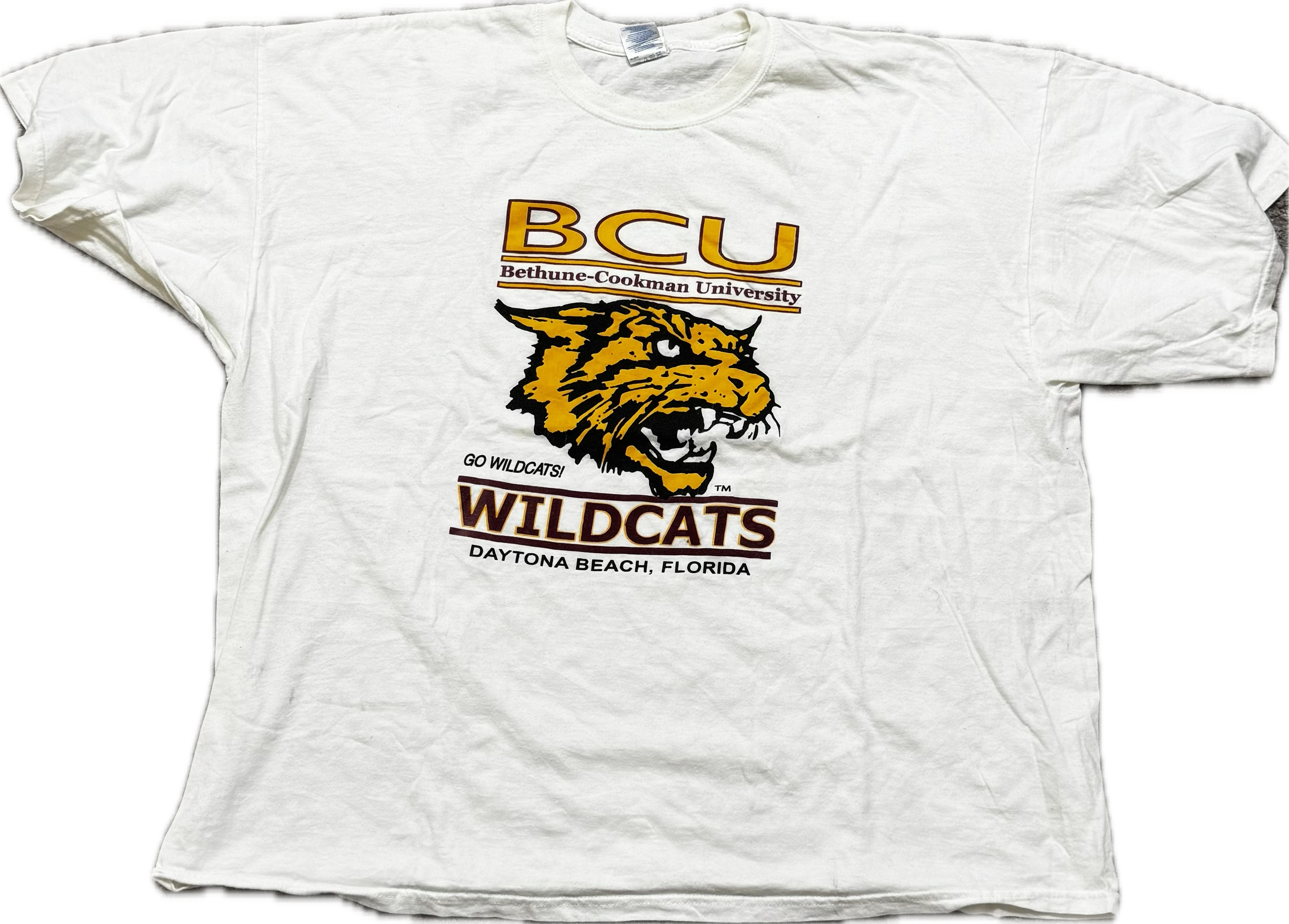 Vintage HBCU College Tee