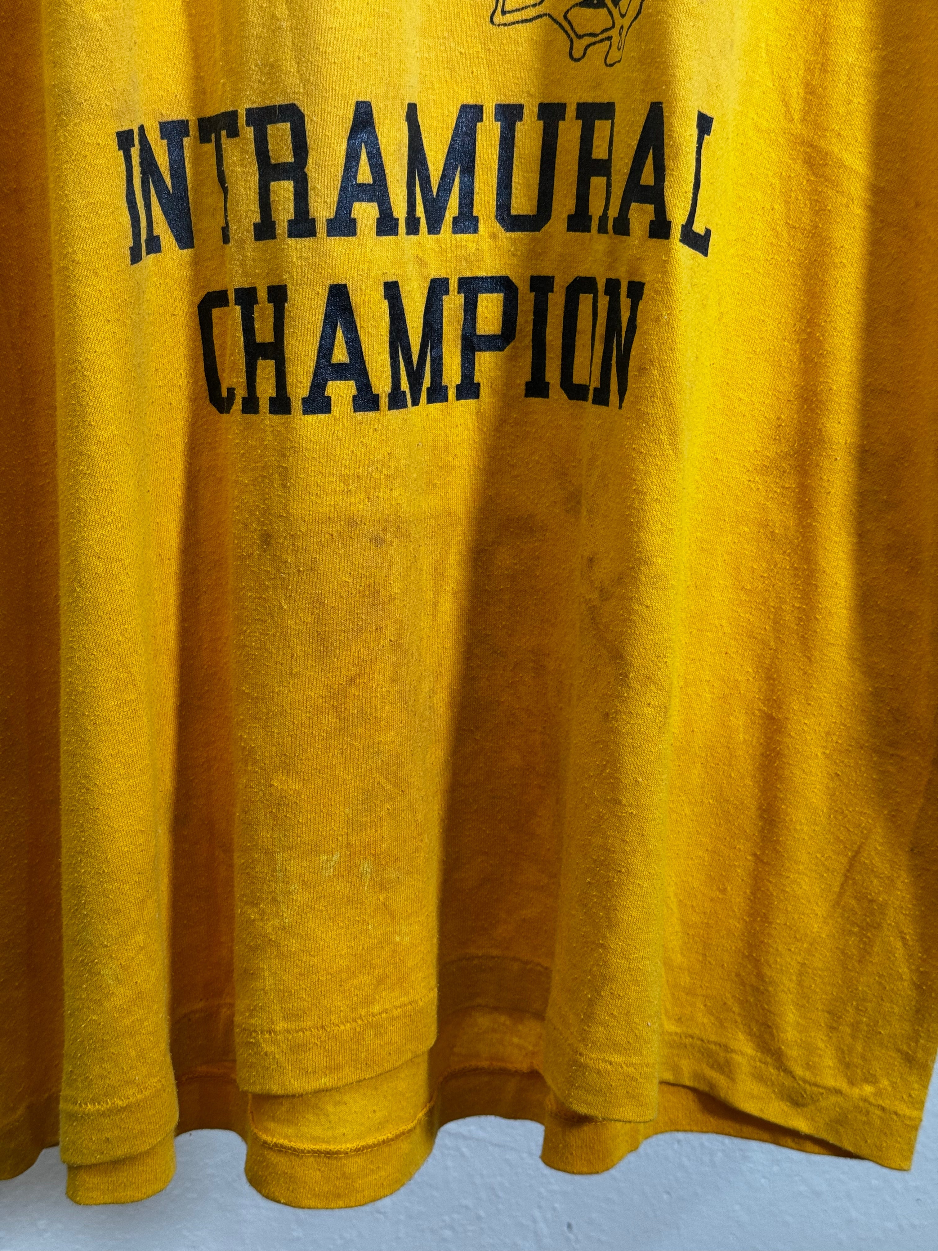 Vintage 1989 IMS Championship Tee
