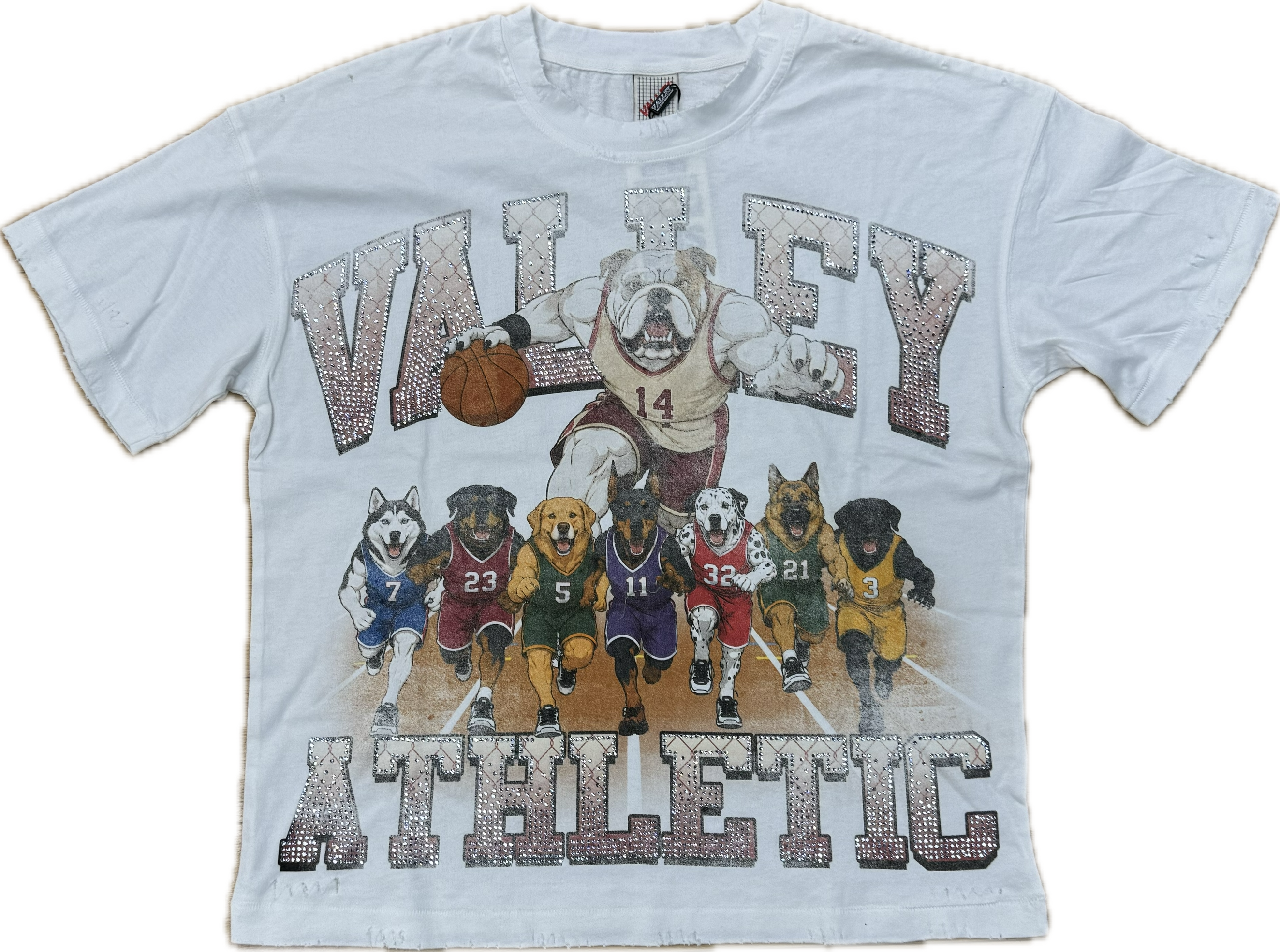 Vale Forever Valley Athletic Big Dog Tee